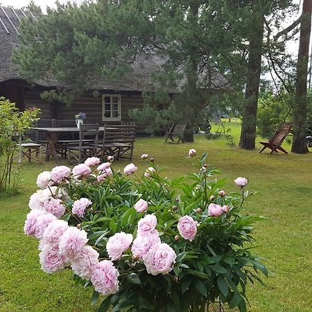 Maenni Summerhouse Kassari エクステリア 写真
